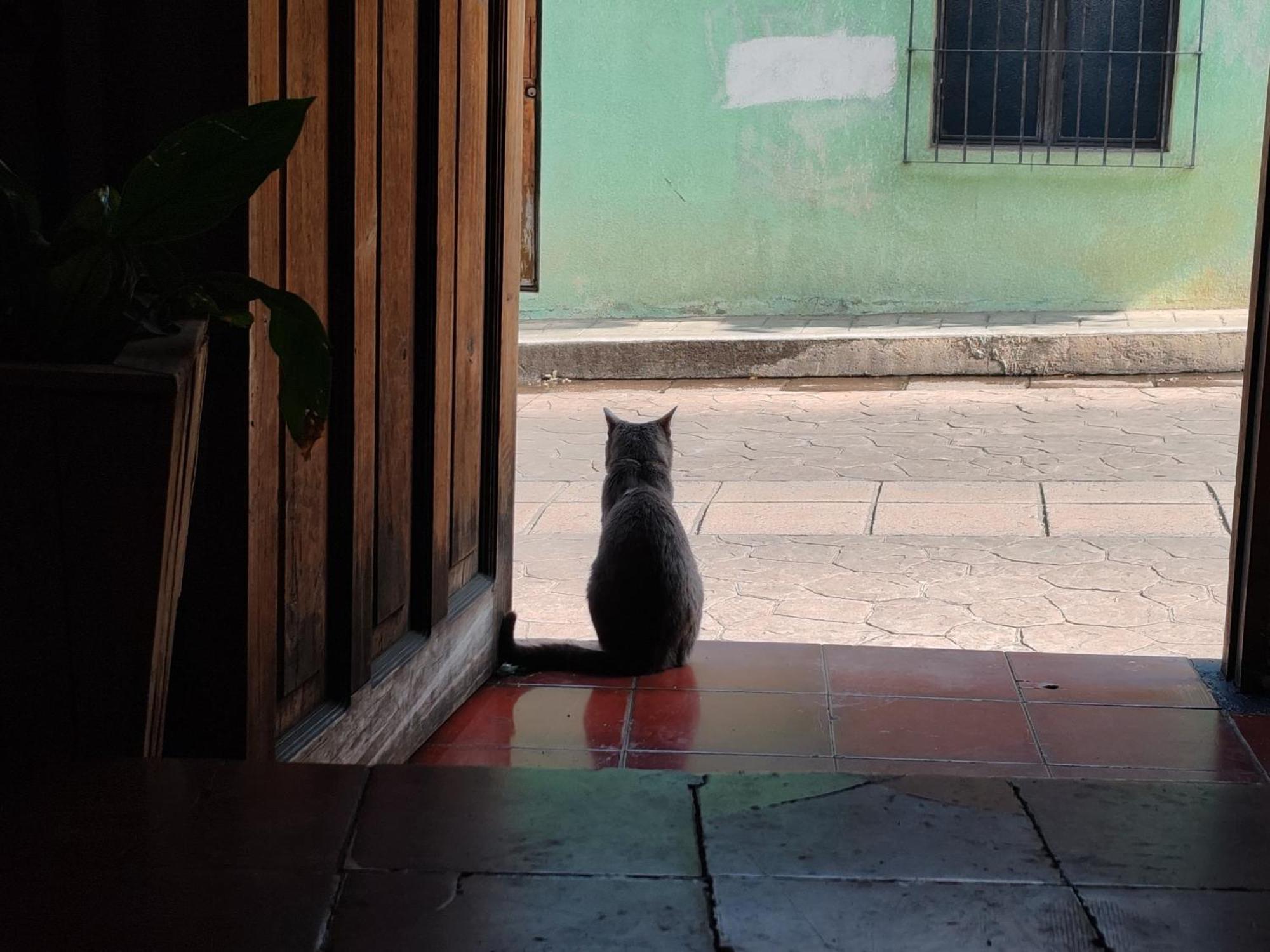San Cristóbal de Las Casas Casa Satoshi旅舍 外观 照片